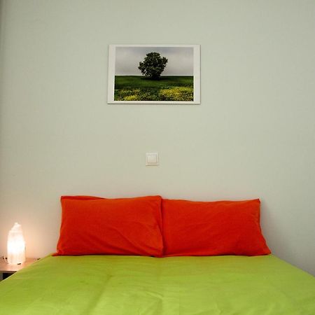 Balcony With Acropolis View Apartment Атина Екстериор снимка